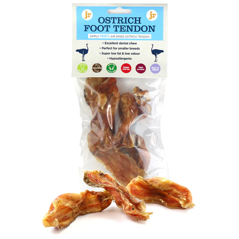 Long Lasting Ostrich Foot Tendon - JR Pet