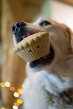 Load image into Gallery viewer, Squeaky Christmas Mince Pie