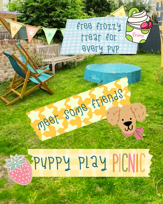 Puppy Social Play