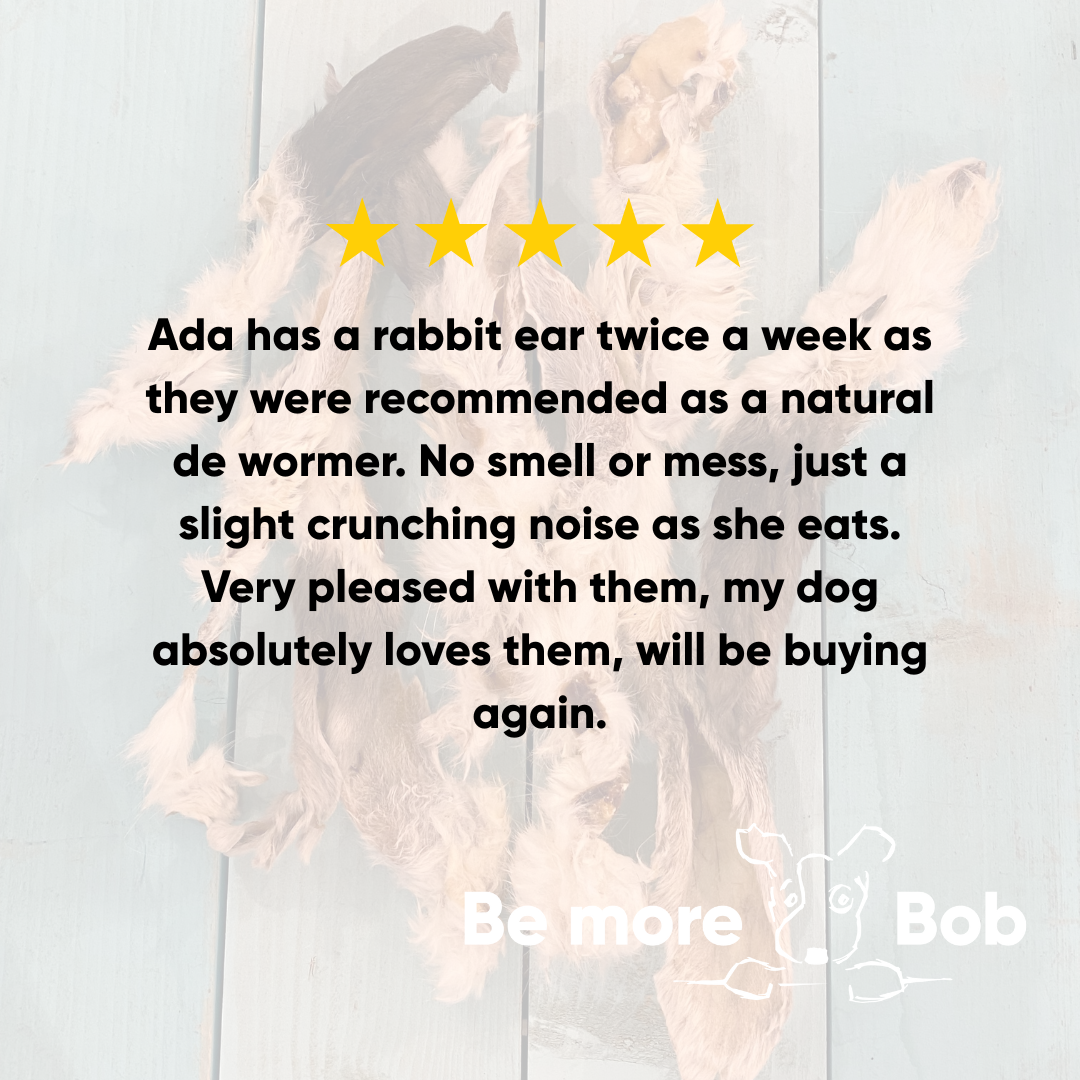 review for rabbit ears with hair