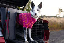 Load image into Gallery viewer, Ruffwear Climate Changer Dog Fleece