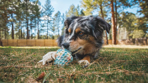 Ruffwear Morel Dog Toy - interactive puzzle toy