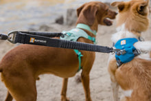 Load image into Gallery viewer, Ruffwear Double Track Dog Lead Coupler