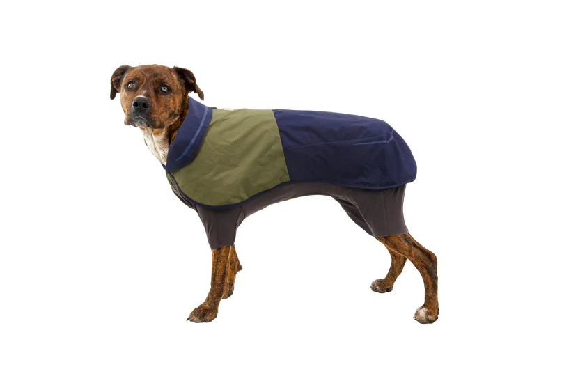 ruffwear sun shower coverall on a medium sized dog
