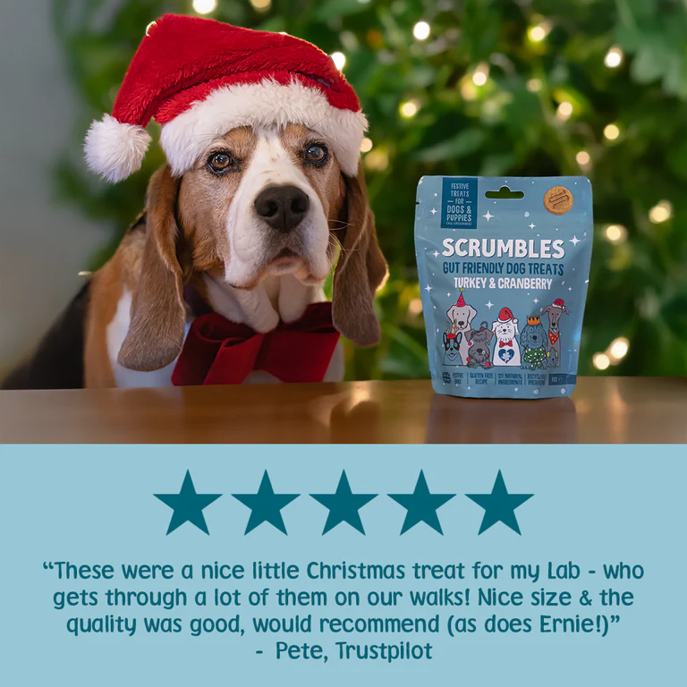 Scrumbles Christmas Dog Treats Turkey Softies