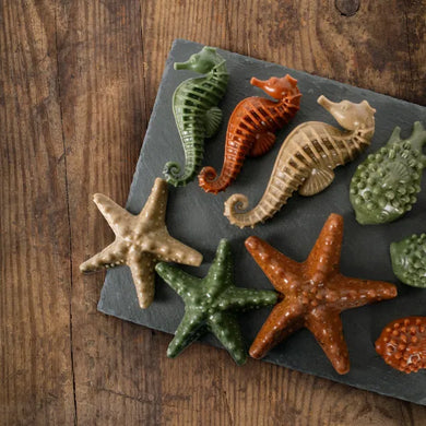 Sea Creatures Dental Chew