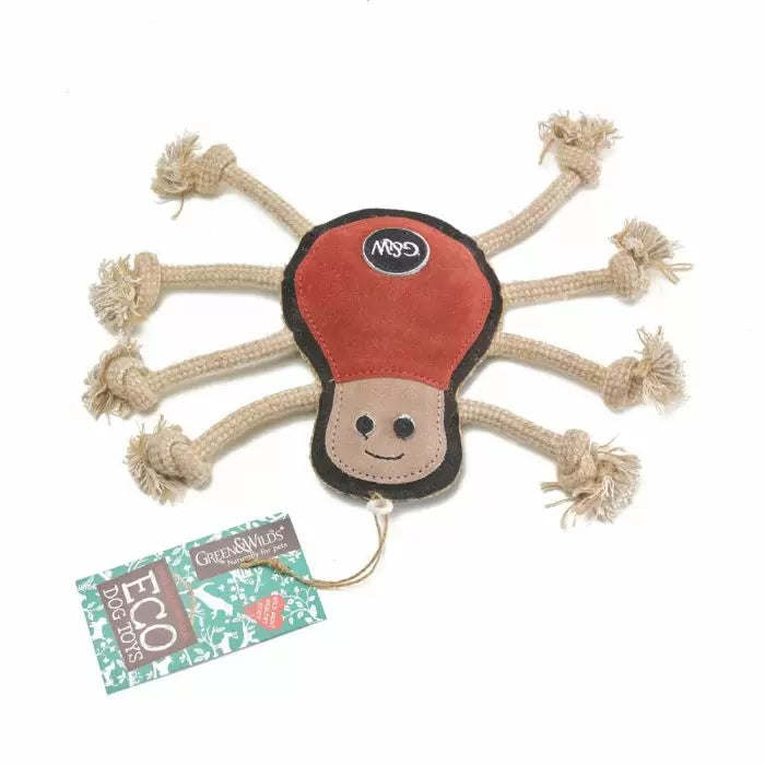 Spike Spider Eco dog toy, Green & Wilds