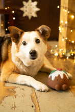 Load image into Gallery viewer, Foodie Faces Latex Christmas Pudding Squeaker