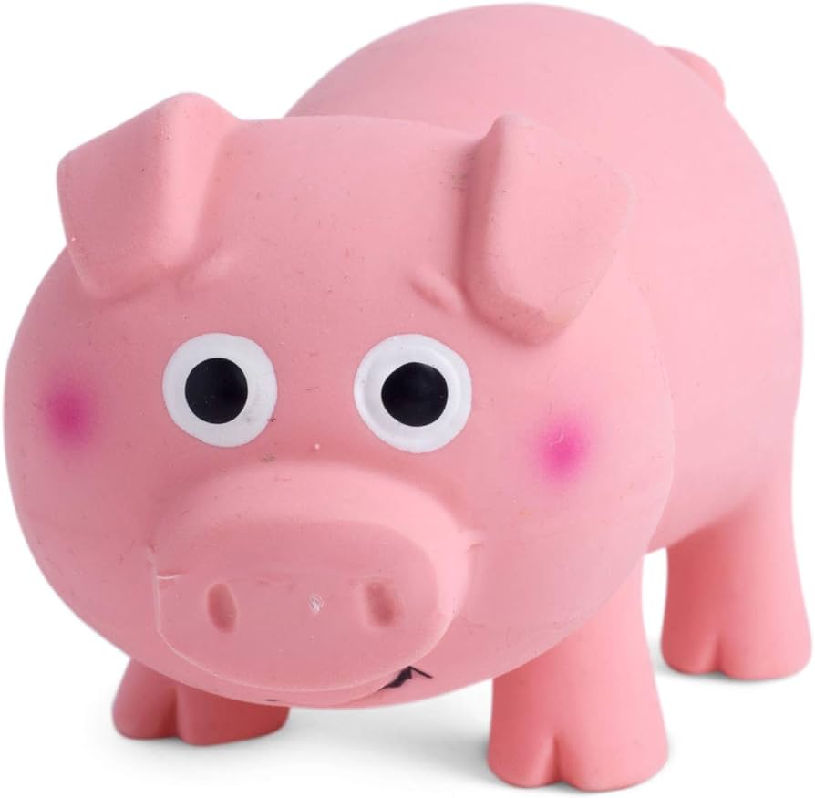 Squeaky Piggy