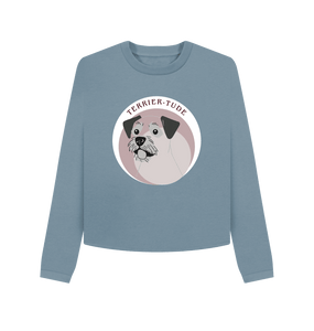 Stone Blue Border Terrier-Tude boxy sweatshirt