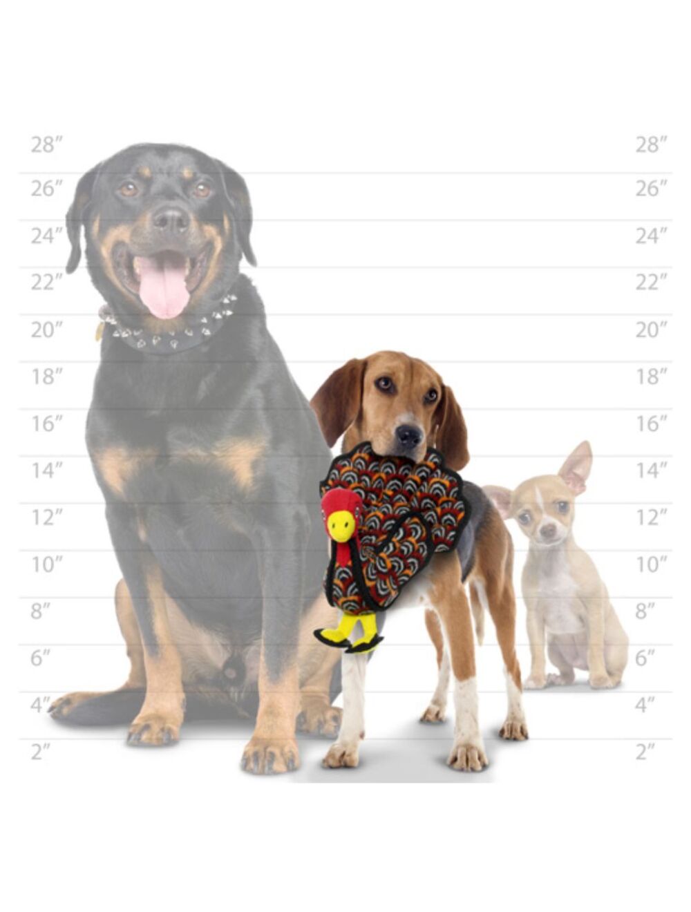 Tough Toy - Tuffy Turkey - small