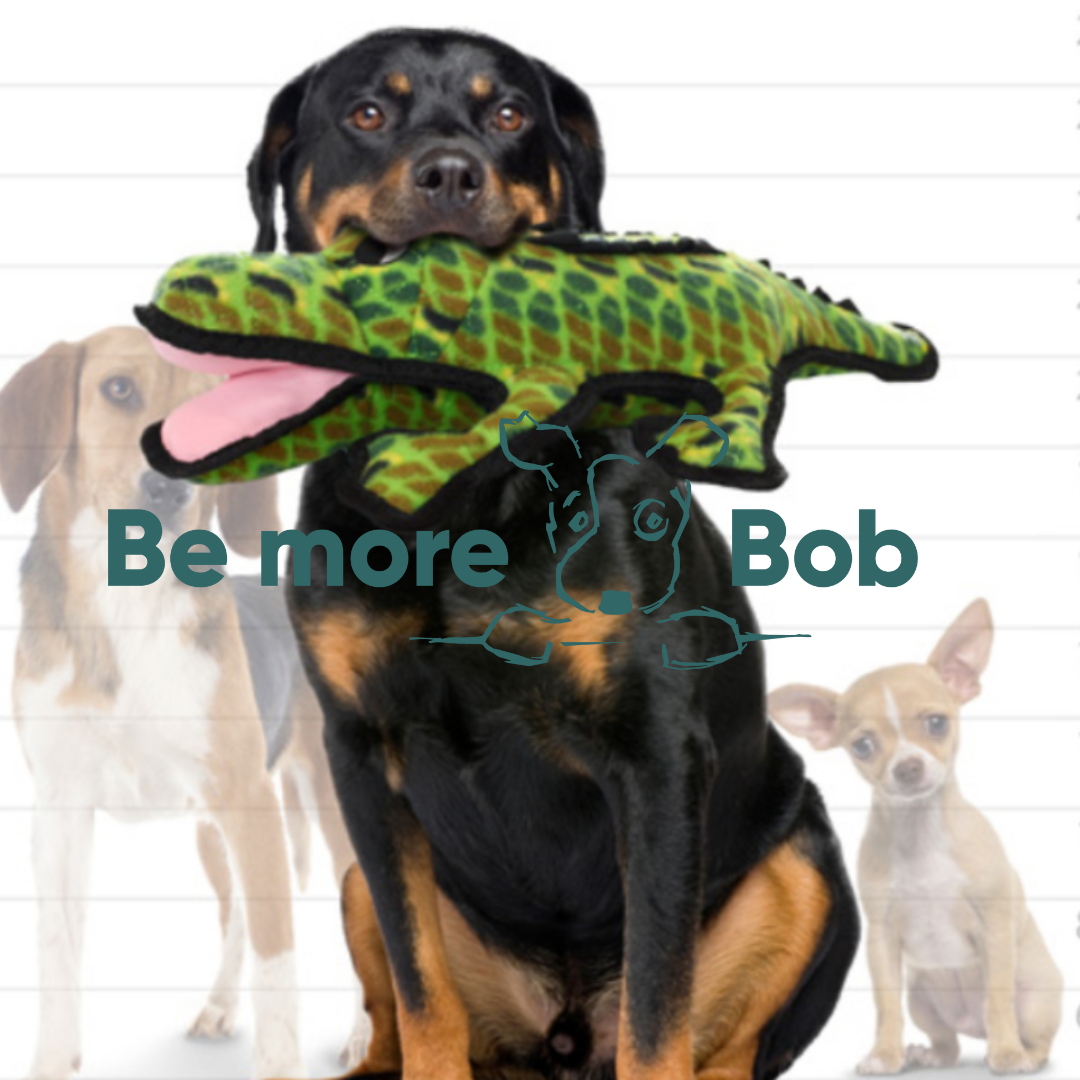 Alligator - Durable, Tough, Squeaky Dog Toy | Tuffy