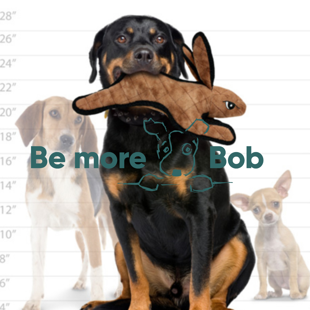 Tuffy Rabbit - large – Be More Bob
