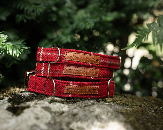 Red Check Dog Collars & Leads