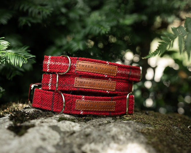 Red Check Dog Collars & Leads