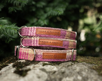 Pink Check Dog Collars & Leads