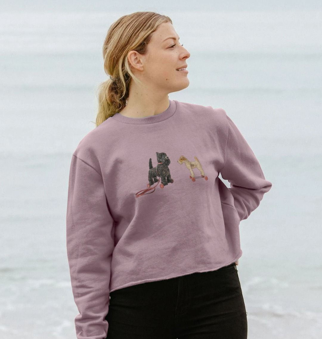 Scottie & Foxy Adventures, Boxy Jumper