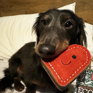 valentine dog toy