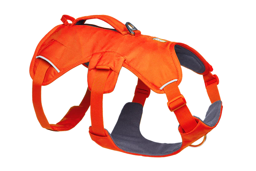 Ruffwear Web Master dog harness with handle (step in harness)