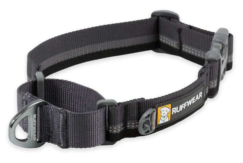 Ruffwear Web Reaction Martingale Dog Collar With Buckle