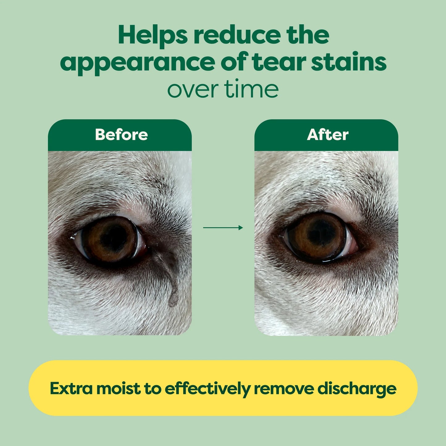 dog eyes before and after being wiped