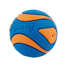 Load image into Gallery viewer, Chuckit! Ultra Squeaker Ball - Medium