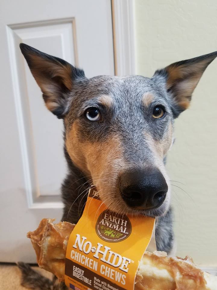 No-Hide Chicken Chew - Easily Digestible - Earth Animal