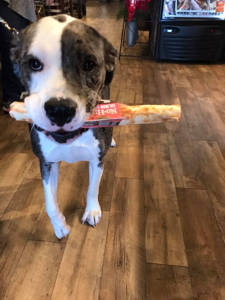 No-Hide Salmon Chew - Easily Digestible - Earth Animal