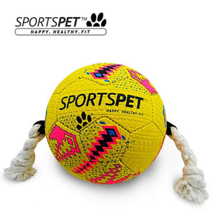 Sportspet Football Medium Size 3