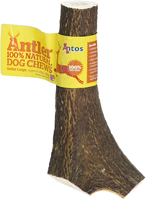 Antos Antlers