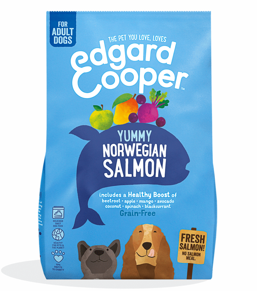 Fresh Norwegian Salmon Kibble - Edgard Cooper