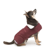 Load image into Gallery viewer, Mutts &amp; Hounds Grape Quilted Coat - LIMITED SIZES