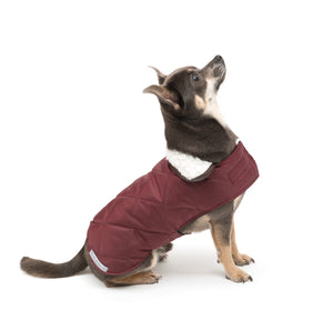 Mutts & Hounds Grape Quilted Coat - LIMITED SIZES