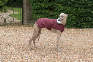 Mutts & Hounds Grape Quilted Coat - LIMITED SIZES