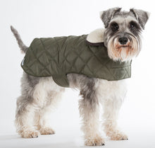 Load image into Gallery viewer, Mutts &amp; Hounds Olive Quilted Coat - LIMITED SIZES