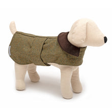 Load image into Gallery viewer, Mutts &amp; Hounds Forest Green Tweed Coat