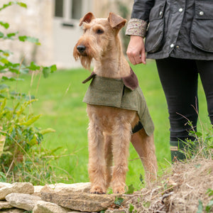 Mutts & Hounds Forest Green Tweed Coat