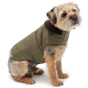 Mutts & Hounds Forest Green Tweed Coat