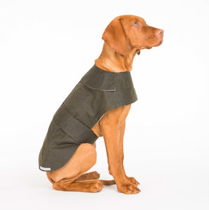 Mutts & Hounds Olive Waxed Coat - LIMITED SIZES