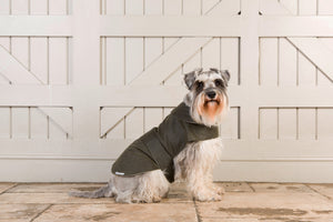Mutts & Hounds Olive Waxed Coat - LIMITED SIZES