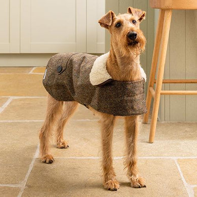 Mutts & Hounds Heritage Tweed Coat - LIMITED SIZES