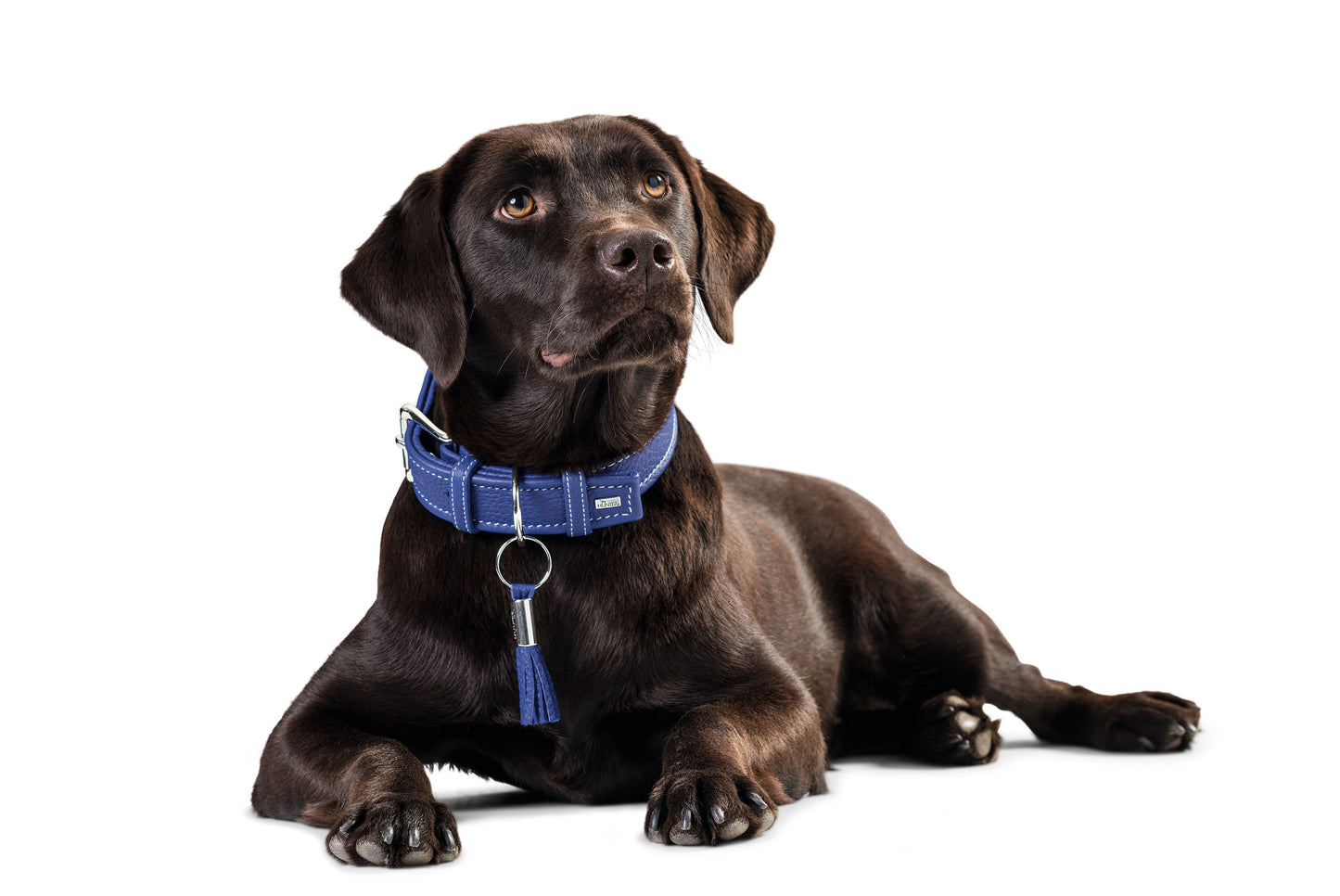 Hunter 'Cannes' Leather Collar - Blue - ONE SIZE REMAINING