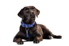 Load image into Gallery viewer, Hunter &#39;Cannes&#39; Leather Collar - Blue - ONE SIZE REMAINING