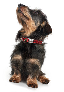 Hunter Davao Collar - Multi Colour