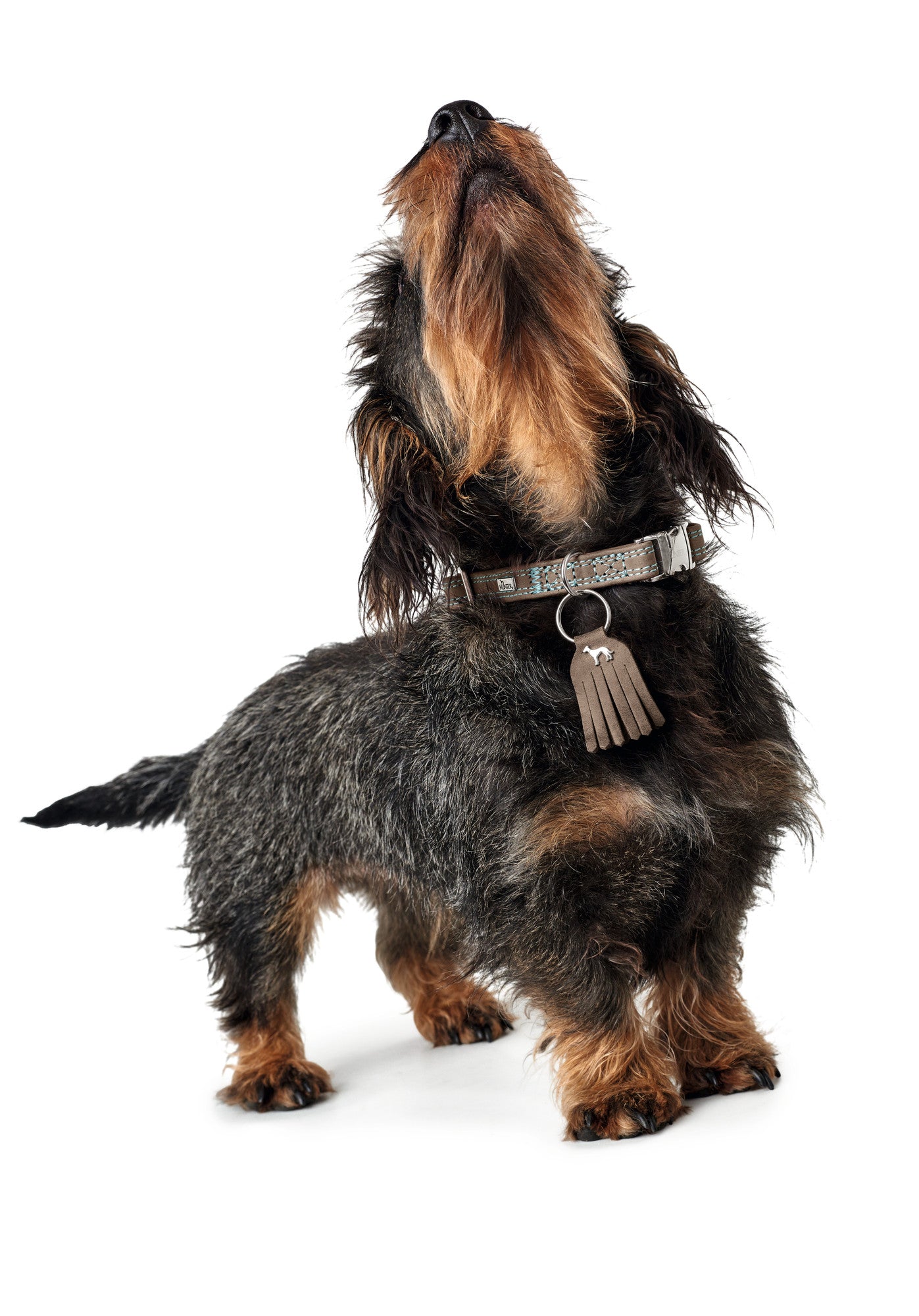 Hunter 'Lucca' Petit Leather Collar - Walnut Grey