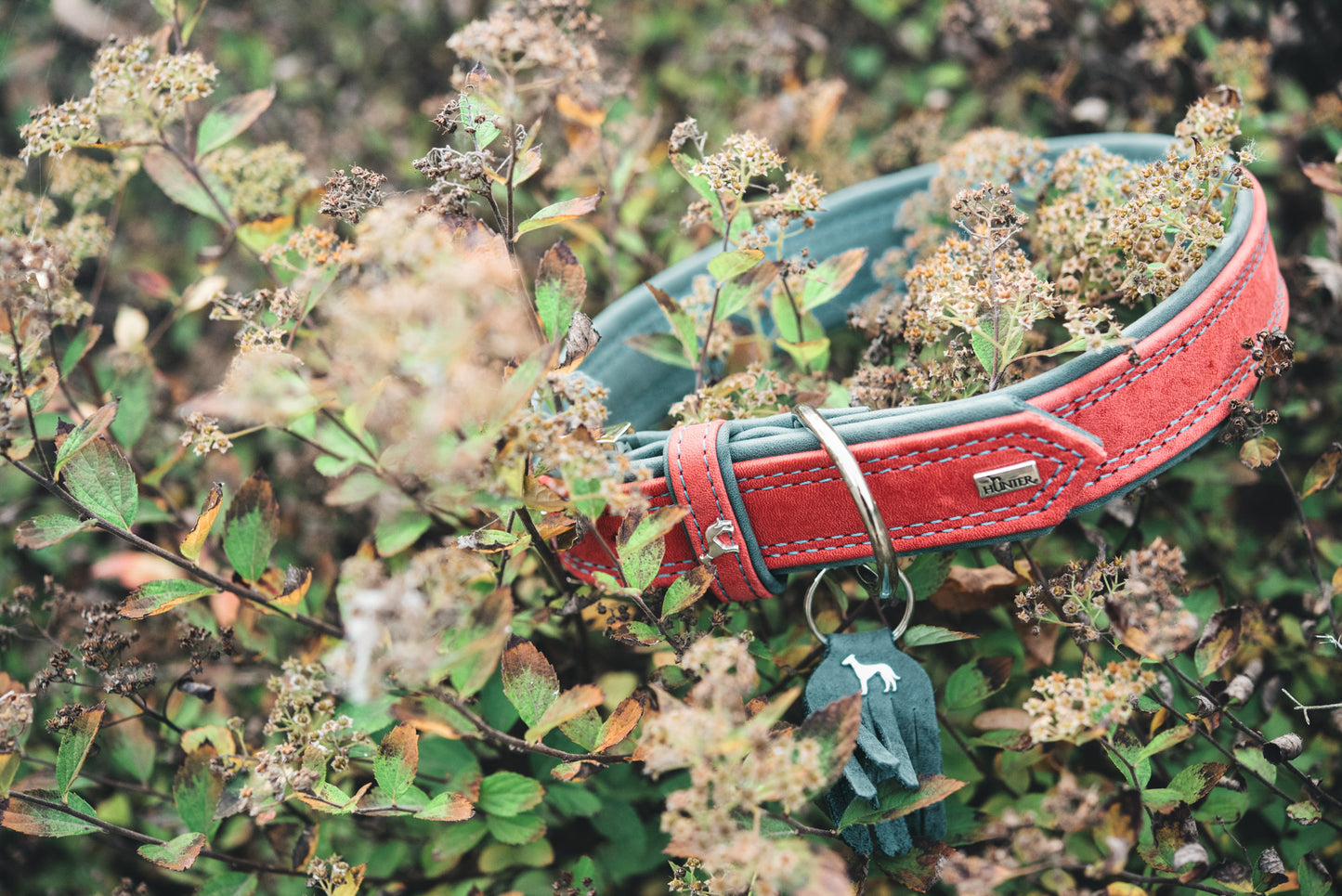 Hunter 'Lucca' Petit Leather Collar - Red & Turquoise