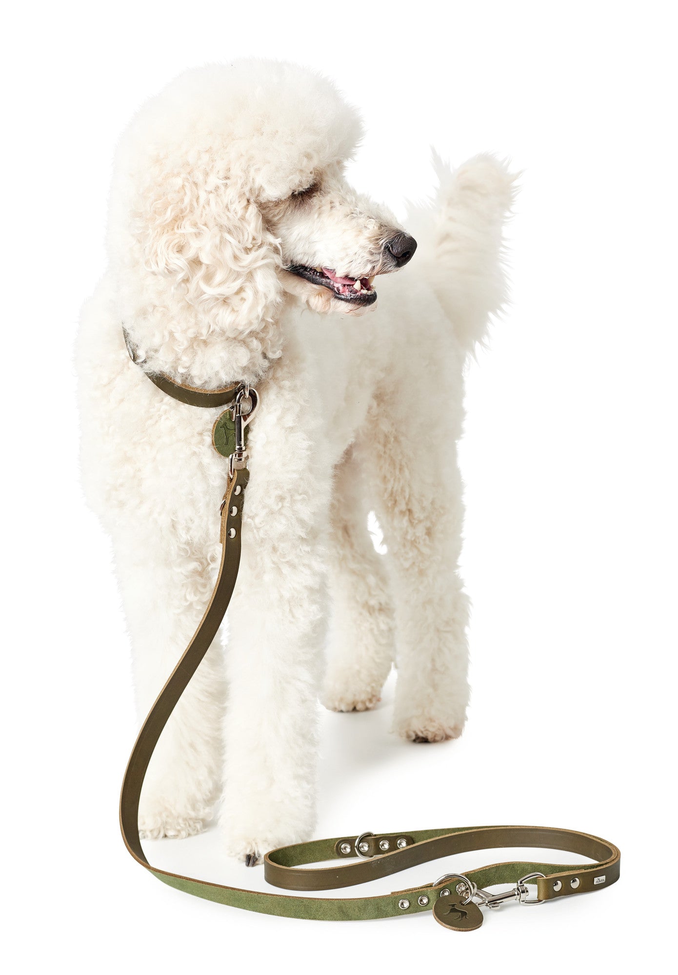 Hunter Aalborg Leather Leash
