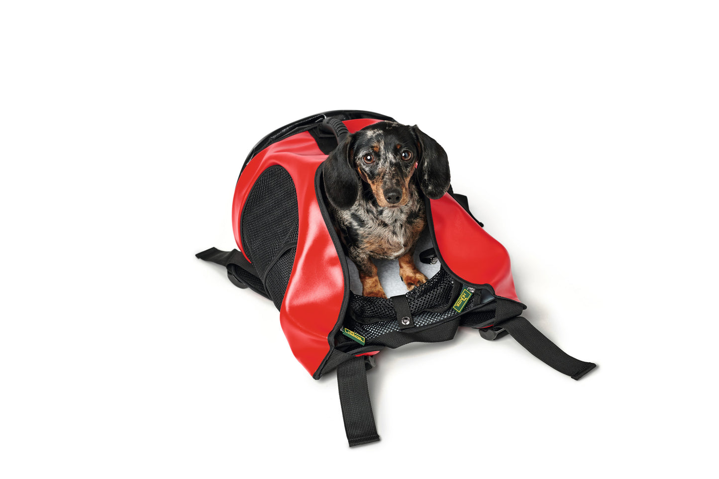 Hunter Taylor Backpack/Carrier - Red or Blue