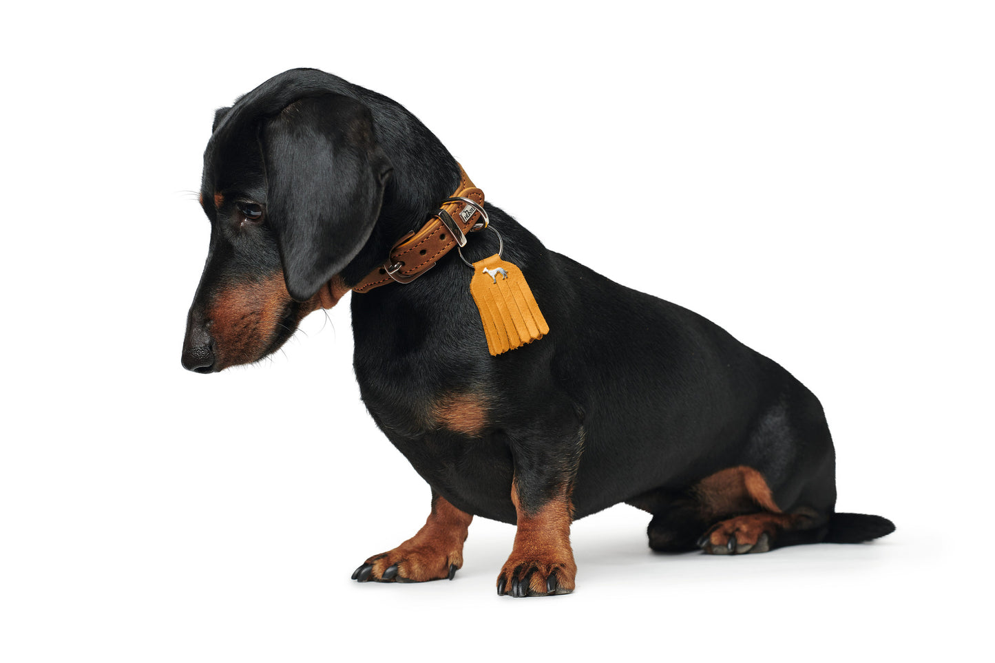 Hunter 'Lucca' Petit Leather Collar - Mustard