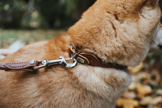 Round and Soft Leather Leash - Hunter